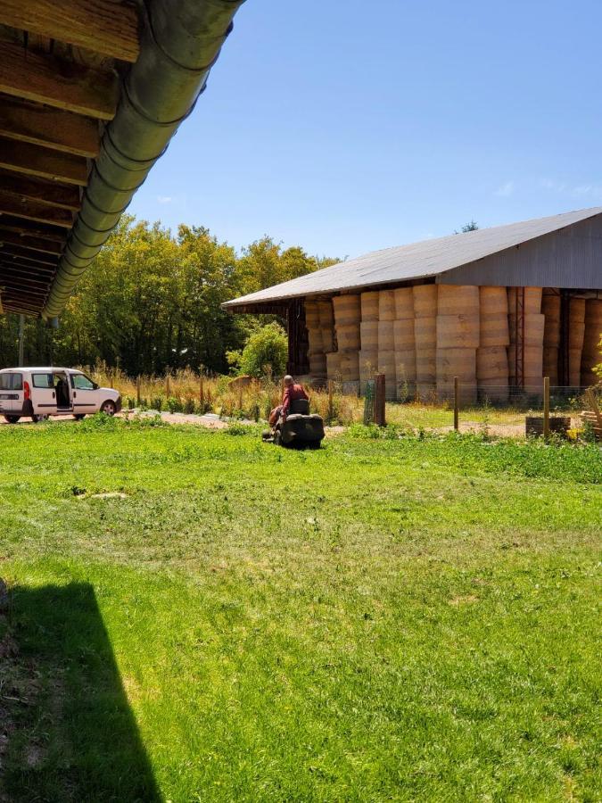 Vila La Maison Des Jonquerets Les Jonquerets-de-Livet Exteriér fotografie